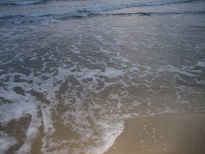 Sea shore, near Montpellier