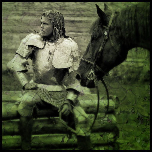 Knight with his horse