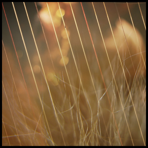 strings from her hair